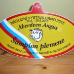 Brno 2015- Národní vítěz plemene Aberdeen angus